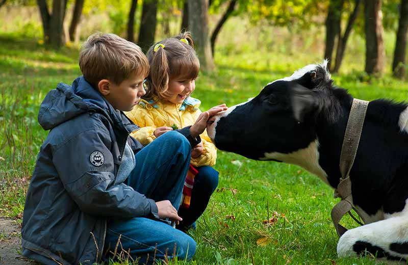 Vacanze in agriturismo